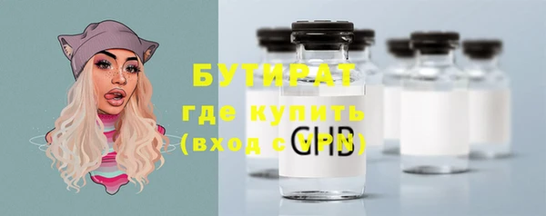 хмурый Болотное